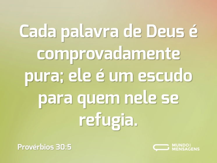 Cada palavra de Deus é comprovadamente pura; ele é um escudo para quem nele se refugia.