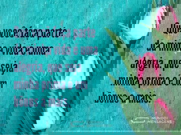 Você como prima é um bônus