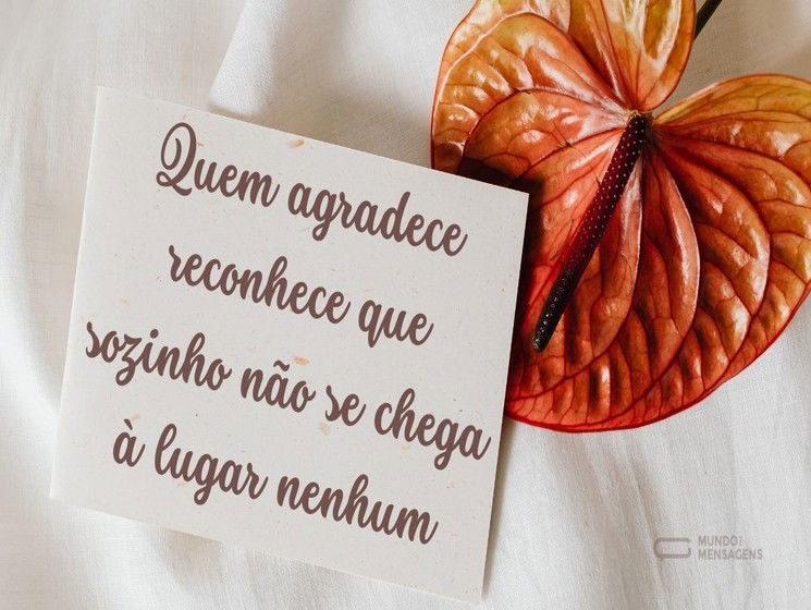 Quem agradece reconhece que sozinho não se chega a lugar nenhum.