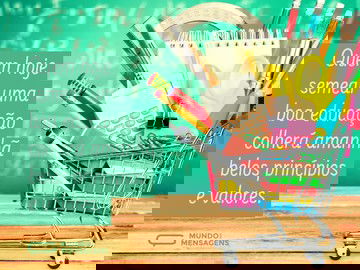 A colheita da educação