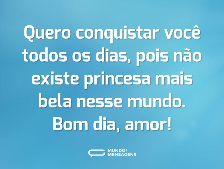 Quero conquistar você todos os dias, pois não existe princesa mais bela nesse mundo. Bom dia, amor!