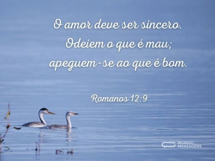 O amor deve ser sincero. Odeiem o que é mau; apeguem-se ao que é bom.