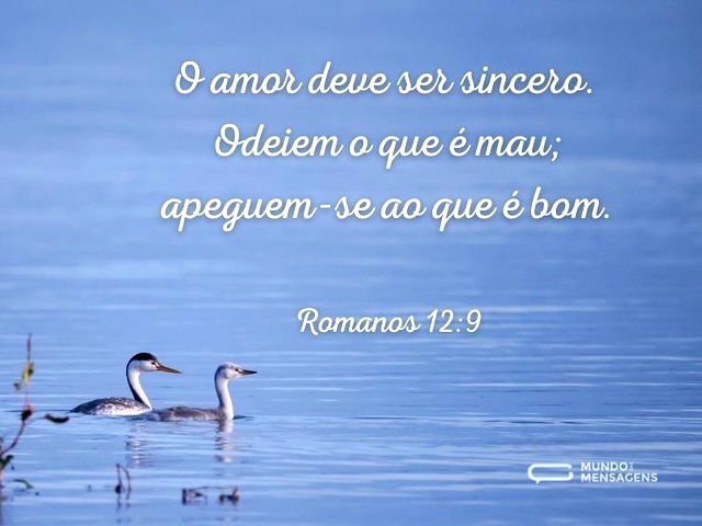 O amor deve ser sincero. Odeiem o que é ...