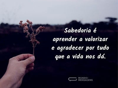 Saber valorizar e agradecer