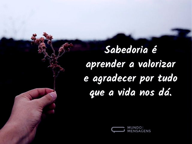 Saber valorizar e agradecer