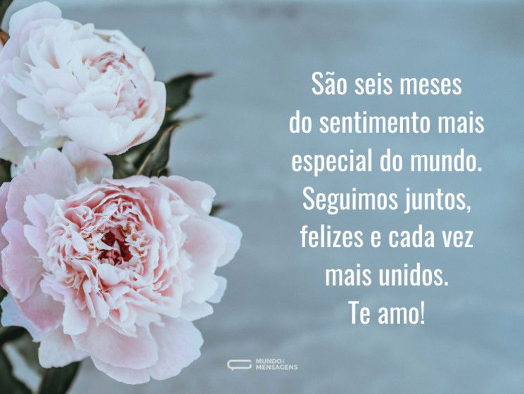 Um sentimento especial que nos une há seis meses