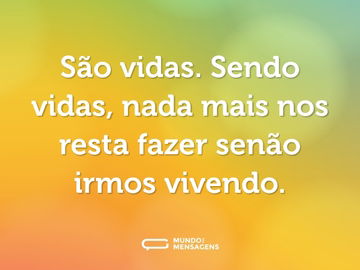 São vidas. Sendo vidas, nada mais nos resta fazer senão irmos vivendo.