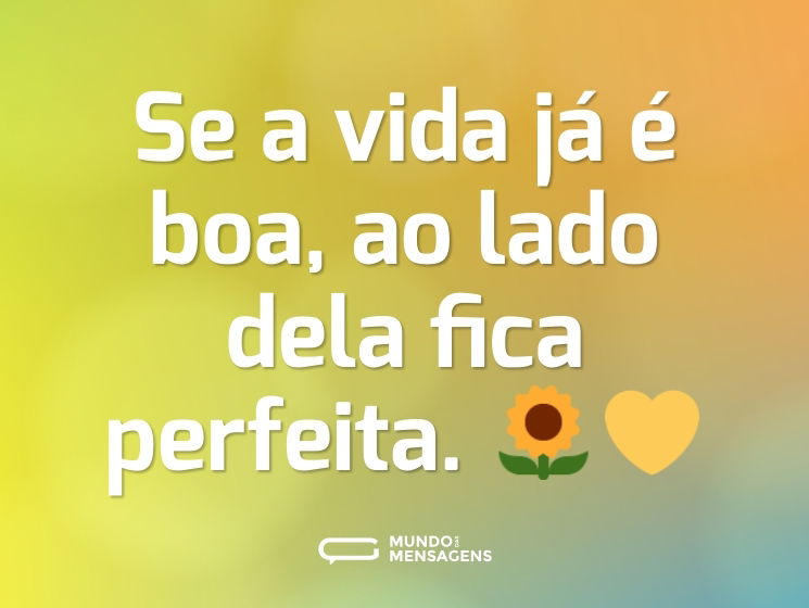 Se a vida já é boa, ao lado dela fica perfeita. 🌻💛