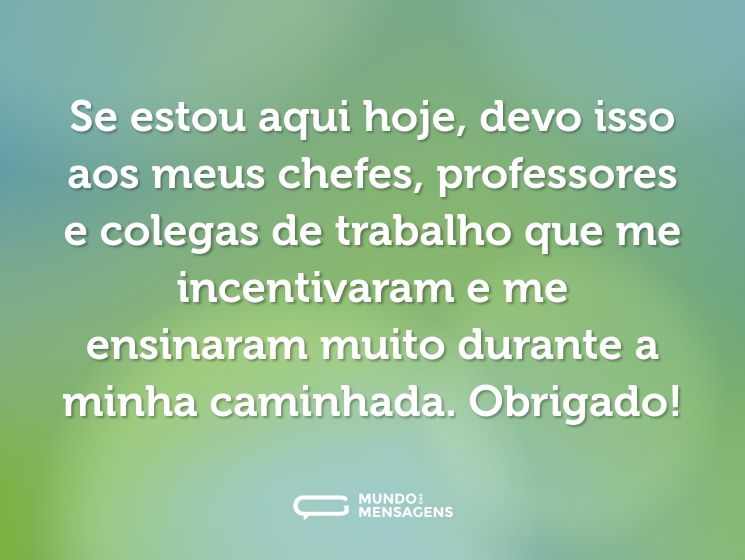 Se estou aqui hoje, devo isso aos meus chefes, professores e colegas de trabalho que me incentivaram e me ensinaram muito durante a minha caminhada. Obrigado!