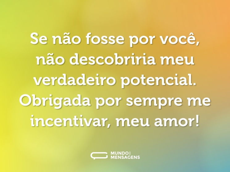 Se não fosse por você, não descobriria meu verdadeiro potencial. Obrigada por sempre me incentivar, meu amor!