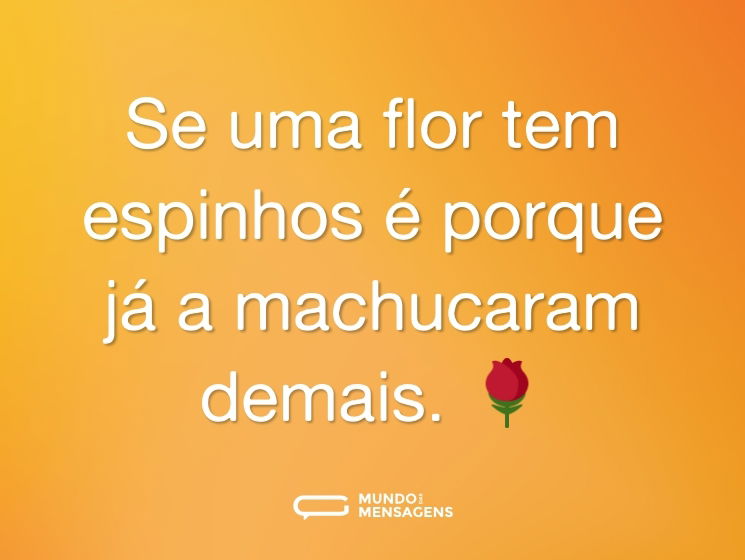 Se uma flor tem espinhos é porque já a machucaram demais. 🌹