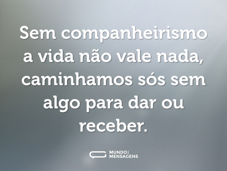 Sem companheirismo a vida não vale nada, caminhamos sós sem algo para dar ou receber.