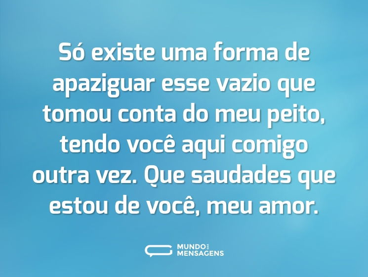 Só existe uma forma de apaziguar esse vazio que tomou conta do meu peito, tendo você aqui comigo outra vez. Que saudades que estou de você, meu amor.