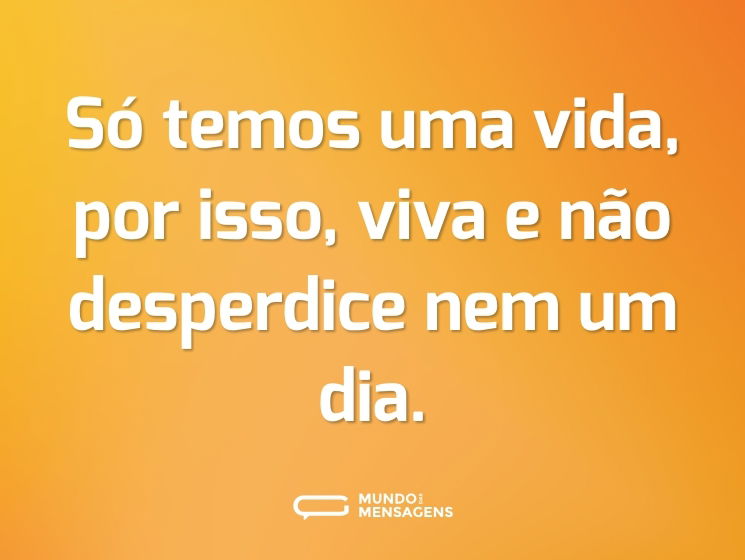 Só temos uma vida, por isso, viva e não desperdice nem um dia.