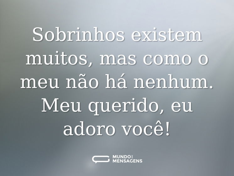 Sobrinhos existem muitos, mas como o meu não há nenhum. Meu querido, eu adoro você!