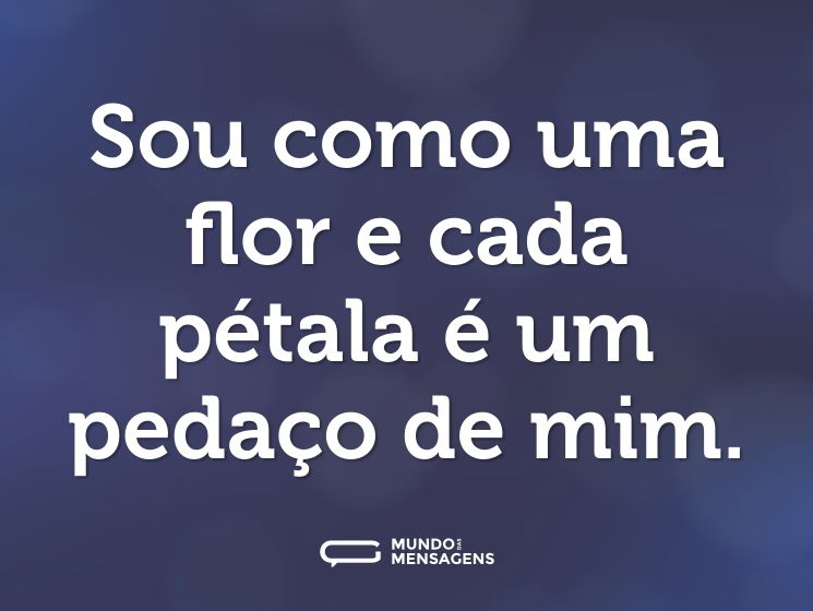 Sou como uma flor e cada pétala é um pedaço de mim.