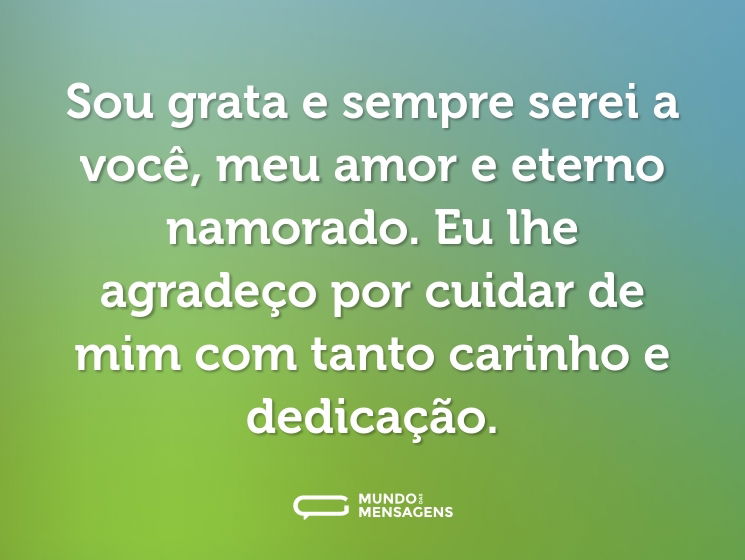 Sou grata e sempre serei a você, meu amor e eterno namorado. Eu lhe agradeço por cuidar de mim com tanto carinho e dedicação.
