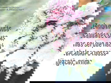 Nada separa nossa ligação, prima