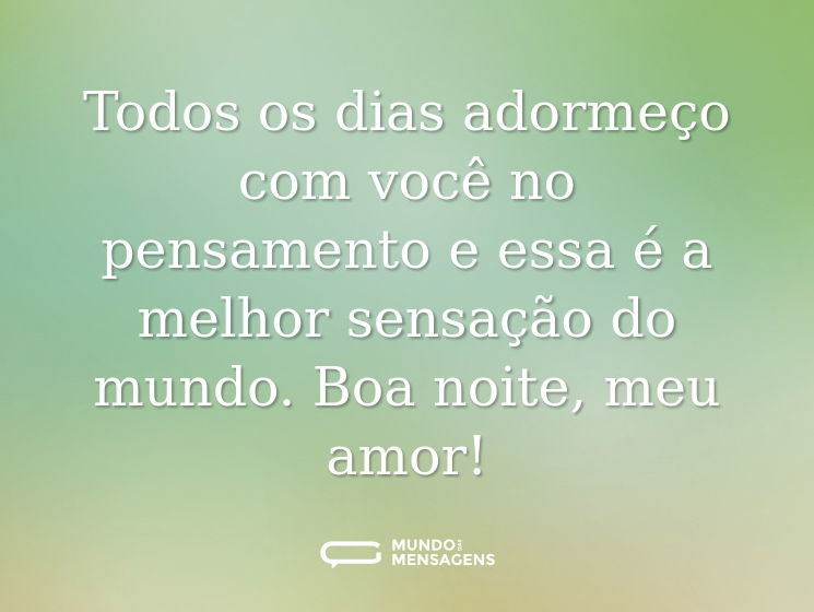 Todos os dias adormeço com você no pensamento e essa é a melhor sensação do mundo. Boa noite, meu amor!