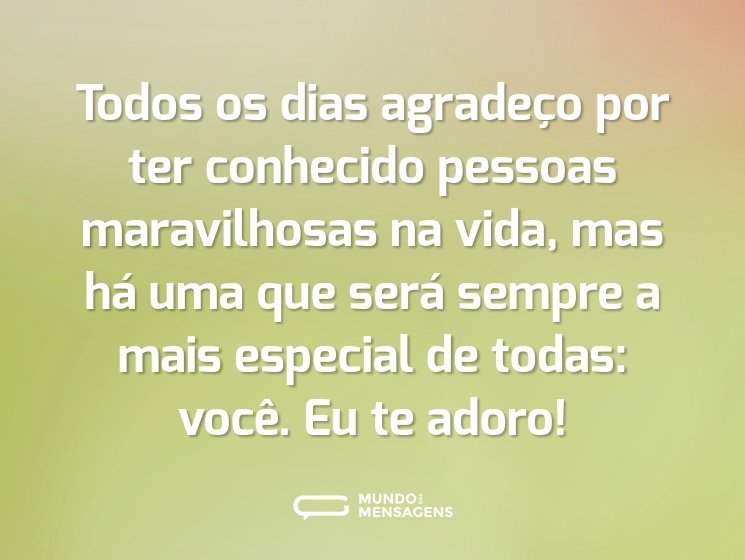 Todos os dias agradeço por ter conhecido pessoas maravilhosas na vida, mas há uma que será sempre a mais especial de todas: você. Eu te adoro!