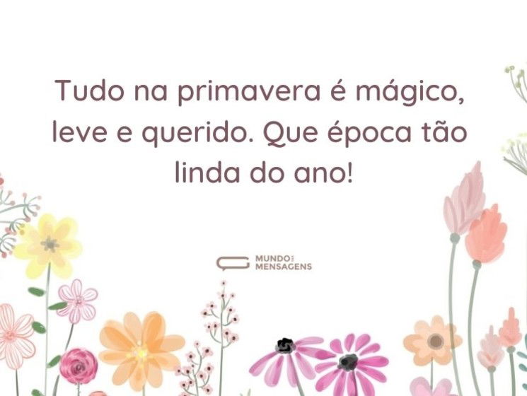 Tudo na primavera é mágico, leve e querido. Que época tão linda do ano!