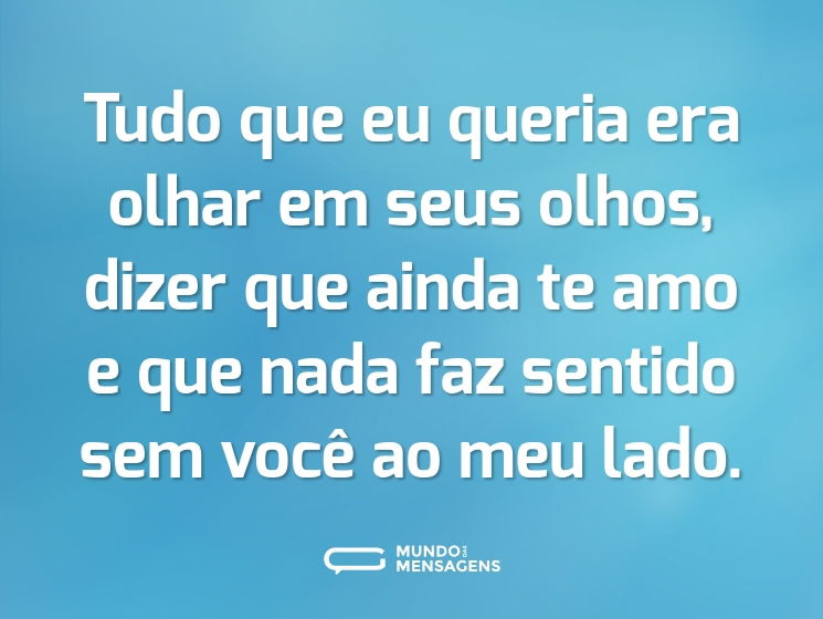 Tudo que eu queria era olhar em seus olhos, dizer que ainda te amo e que nada faz sentido sem você ao meu lado.