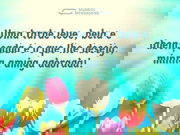 Uma tarde leve, amiga adorada