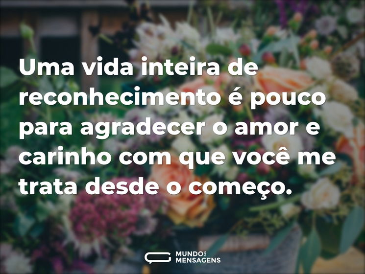 Uma vida inteira de reconhecimento é pouco para agradecer o amor e carinho com que você me trata desde o começo.