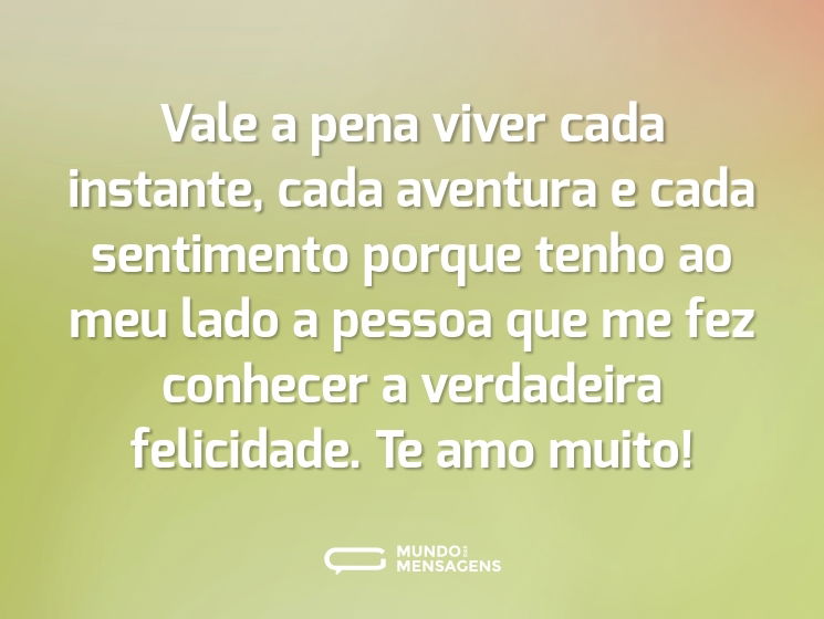 Vale a pena viver cada instante, cada aventura e cada sentimento porque tenho ao meu lado a pessoa que me fez conhecer a verdadeira felicidade. Te amo muito!