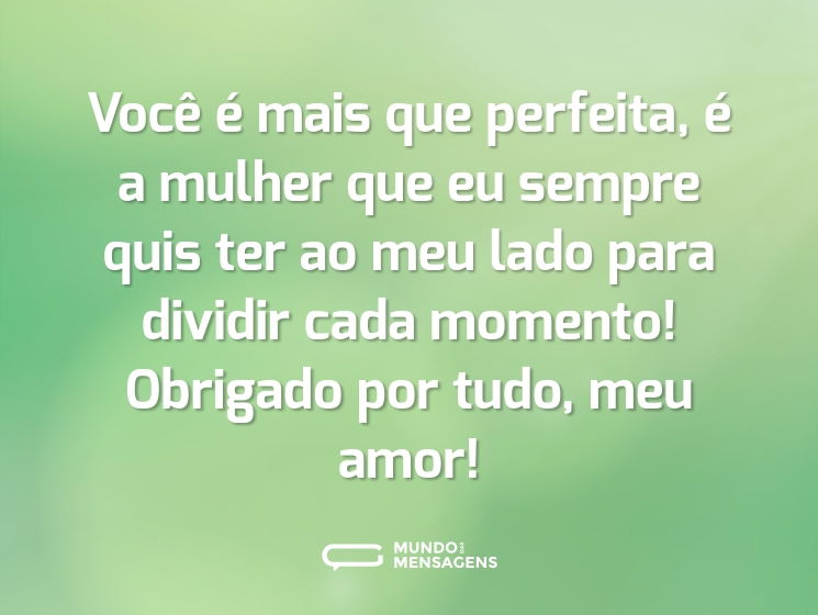 Você é mais que perfeita, é a mulher que eu sempre quis ter ao meu lado para dividir cada momento! Obrigado por tudo, meu amor!