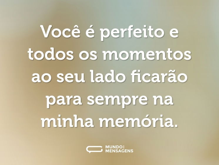 Você é perfeito e todos os momentos ao seu lado ficarão para sempre na minha memória.