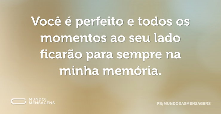 Você é perfeito e todos os momentos ao s - Mundo das Mensagens