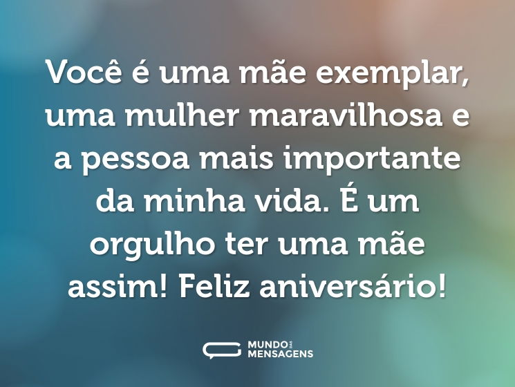 Você é uma mãe exemplar, uma mulher maravilhosa e a pessoa mais importante da minha vida. É um orgulho ter uma mãe assim! Feliz aniversário!