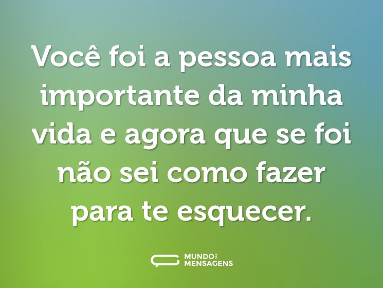 Você foi a pessoa mais importante da minha vida e agora que se foi não sei como fazer para te esquecer.