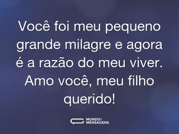 Você foi meu pequeno grande milagre e agora é a razão do meu viver. Amo você, meu filho querido!