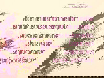 Foi maravilhoso conhecer você, professora