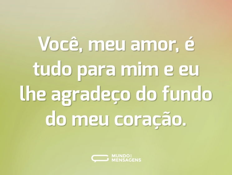 Você, meu amor, é tudo para mim e eu lhe agradeço do fundo do meu coração.