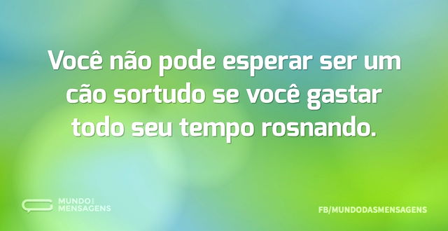 Você não pode esperar ser um cão sortudo...