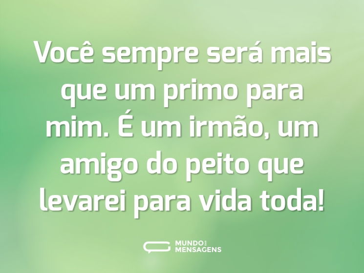 Você sempre será mais que um primo para mim. É um irmão, um amigo do peito que levarei para vida toda!