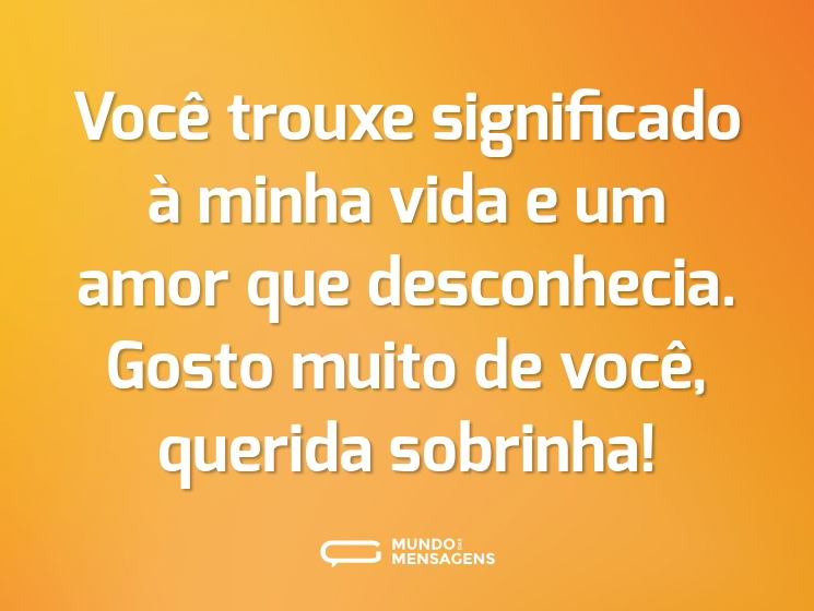 Você trouxe significado à minha vida e um amor que desconhecia. Gosto muito de você, querida sobrinha!